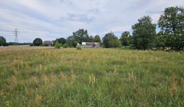 Działka rolna Danielów