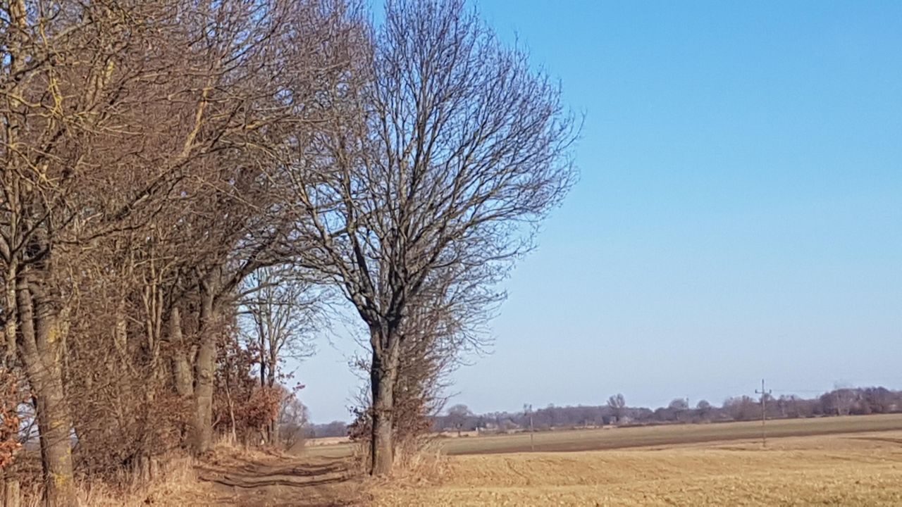 Działka rolna Dargikowo. Zdjęcie 10