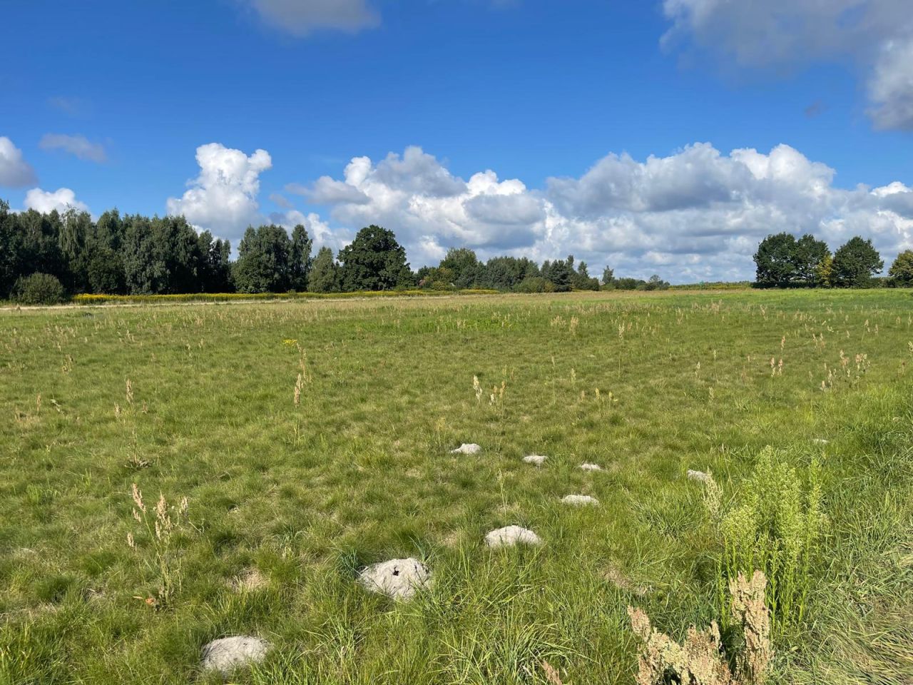 Działka budowlana Łąki. Zdjęcie 12