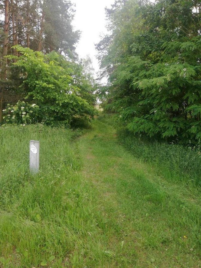 Działka rolna Szczudłów. Zdjęcie 4