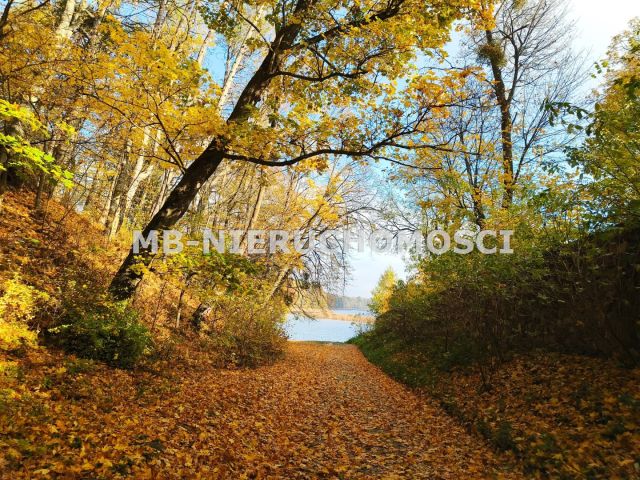 Działka inwestycyjna Gąsiorowo Olsztyneckie. Zdjęcie 3