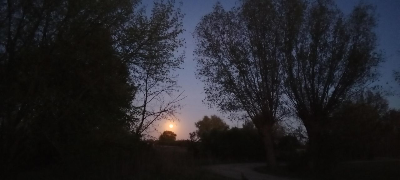 Działka budowlana Grodzisk Mazowiecki, ul. Szczęsna. Zdjęcie 8
