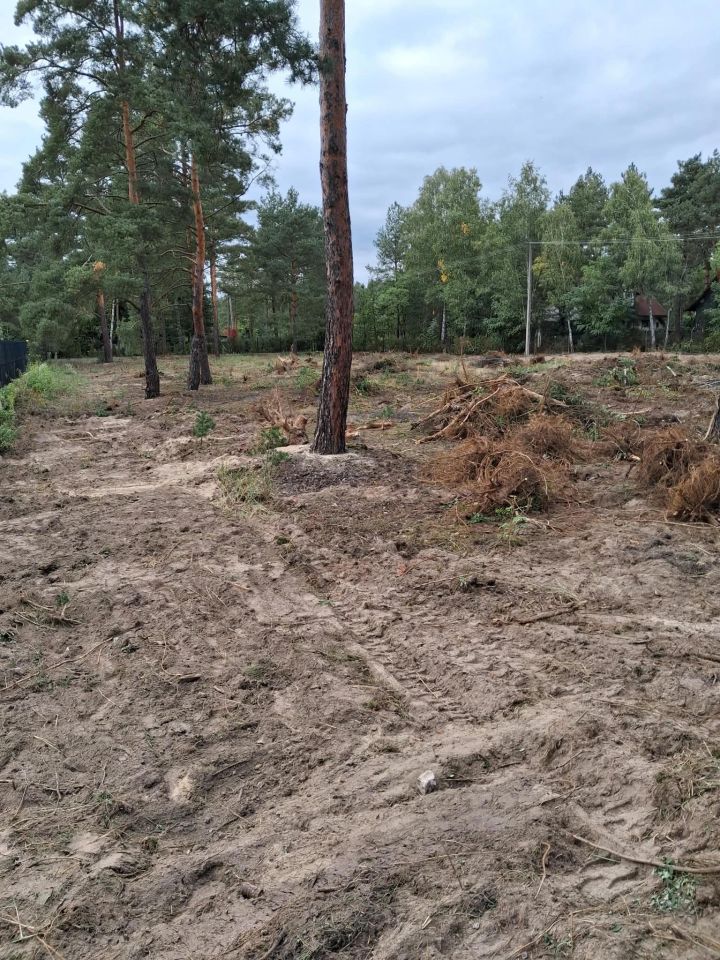 Działka budowlana Michałów-Reginów, ul. Piaskowa. Zdjęcie 2