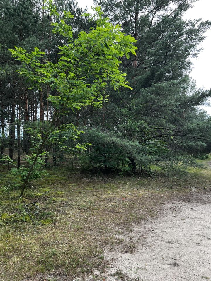 Działka budowlana Anastazew. Zdjęcie 3