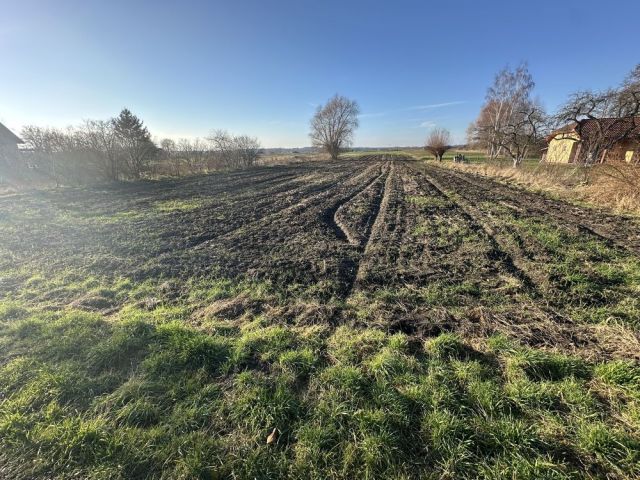 Działka rolno-budowlana Bojadła, ul. Polna. Zdjęcie 1