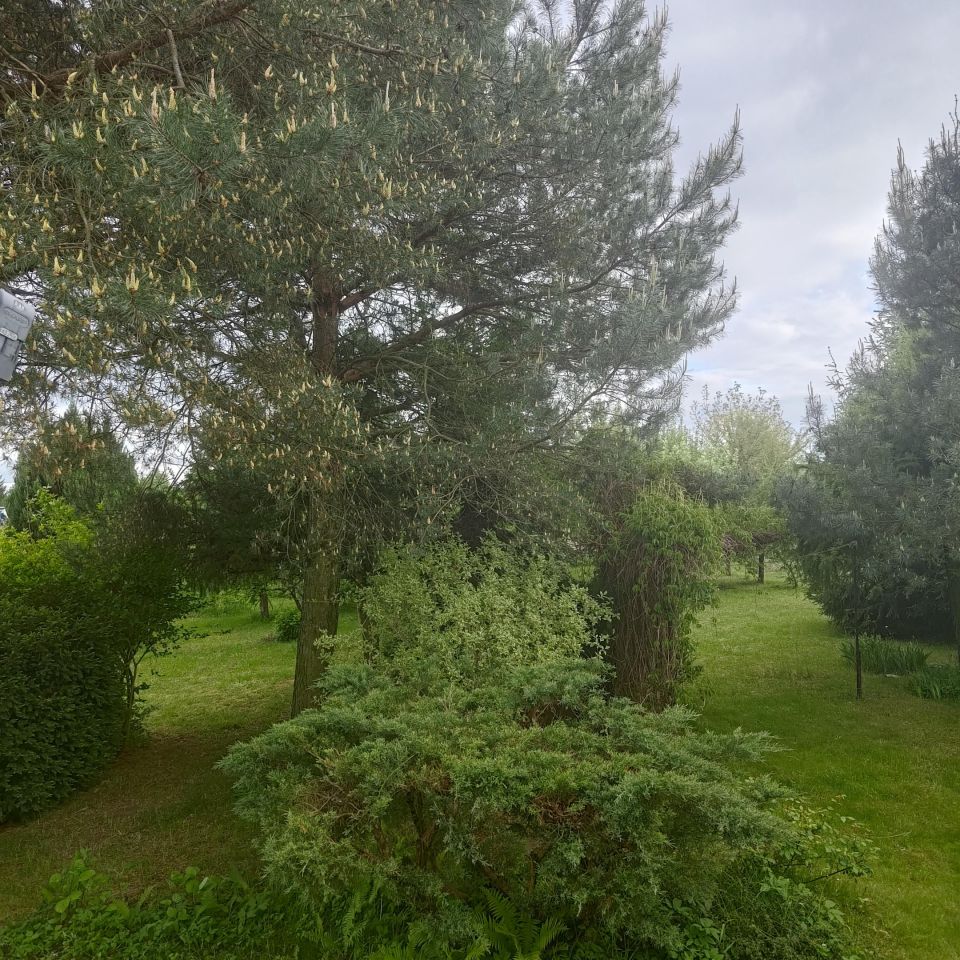 dom wolnostojący, 3 pokoje Milejów, ul. Szkolna. Zdjęcie 18