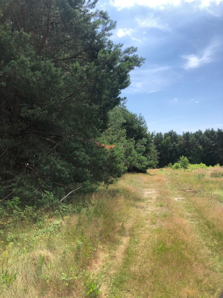 Działka rekreacyjna Życiny. Zdjęcie 7