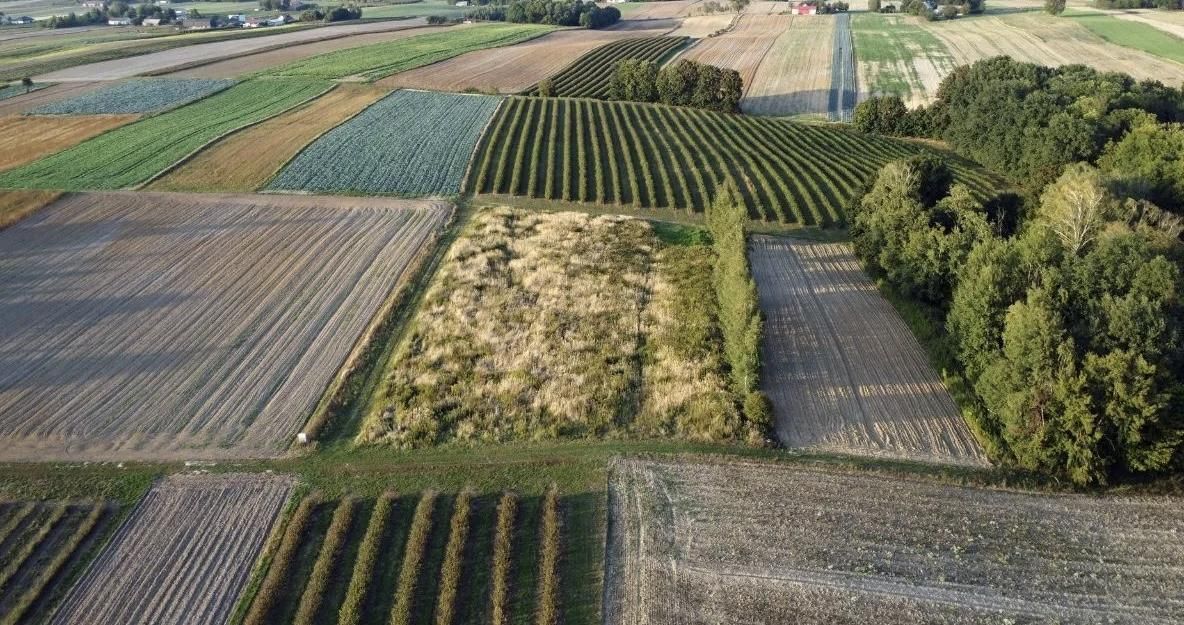 Działka inna Bronice-Kolonia. Zdjęcie 10