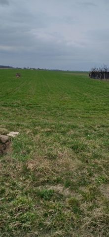 Działka rolno-budowlana Polesie. Zdjęcie 1