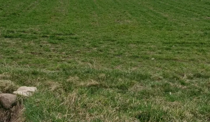 Działka rolno-budowlana Polesie