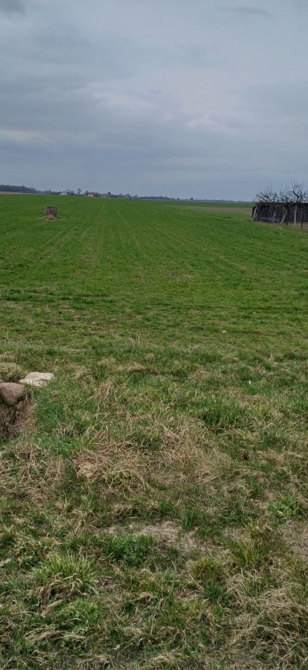 Działka rolno-budowlana Polesie. Zdjęcie 1