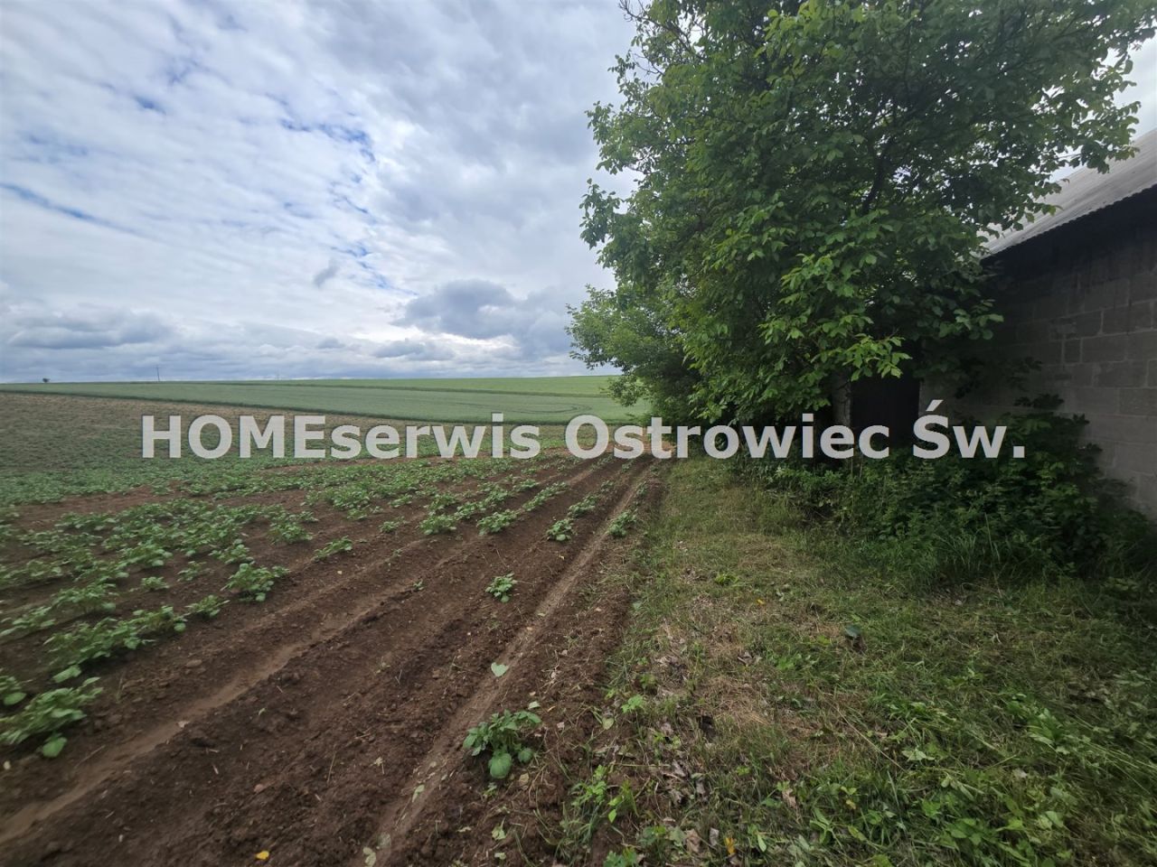 gospodarstwo, 1 pokój Ćmielów. Zdjęcie 4