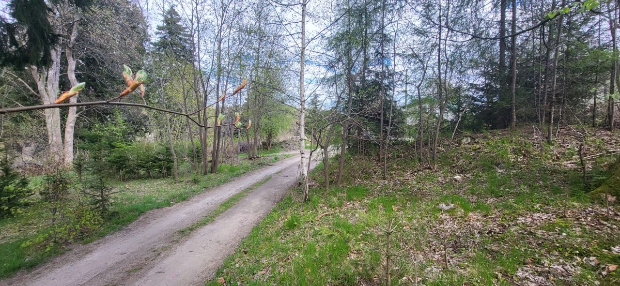 Działka budowlana Szklarska Poręba Biała Dolina, ul. Zdrojowa. Zdjęcie 5