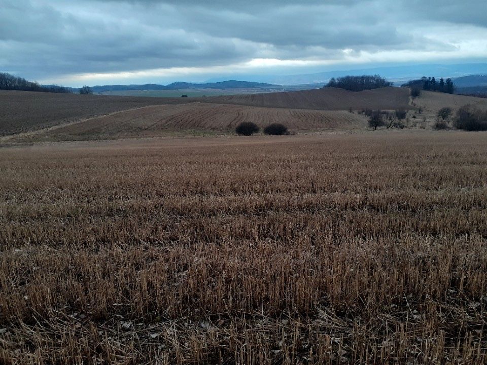 Działka rolno-budowlana Jaszkówka. Zdjęcie 6