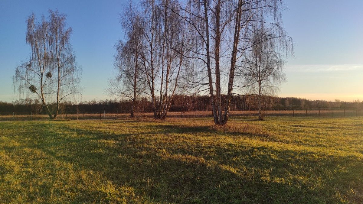 Działka budowlana Szczechy Małe. Zdjęcie 3