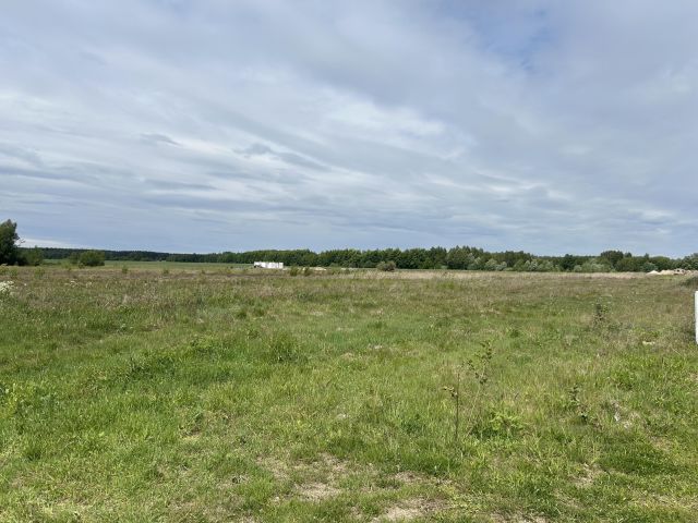 Działka budowlana Dąbie, ul. Dębowa. Zdjęcie 4