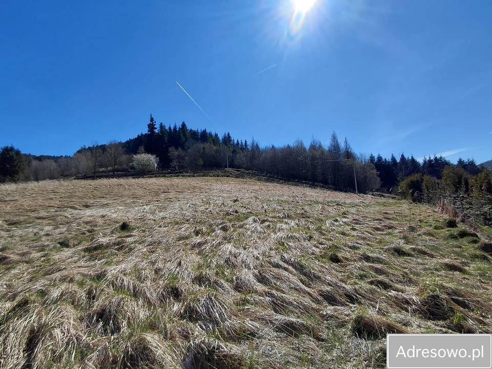 Działka budowlana Jaszczurowa. Zdjęcie 3