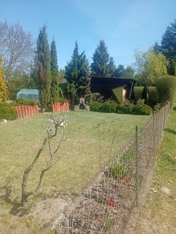 Działka rod Ciechanów. Zdjęcie 1