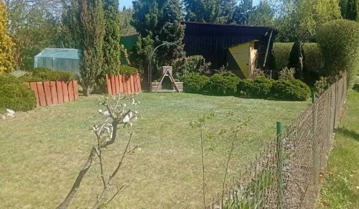 Działka rod Ciechanów