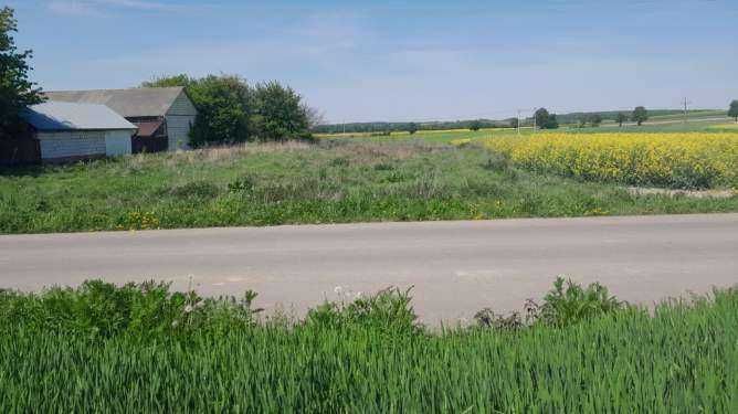 Działka budowlana Kępa. Zdjęcie 3