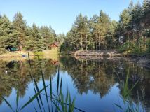 Działka inwestycyjna Skarżysko-Kamienna. Zdjęcie 4