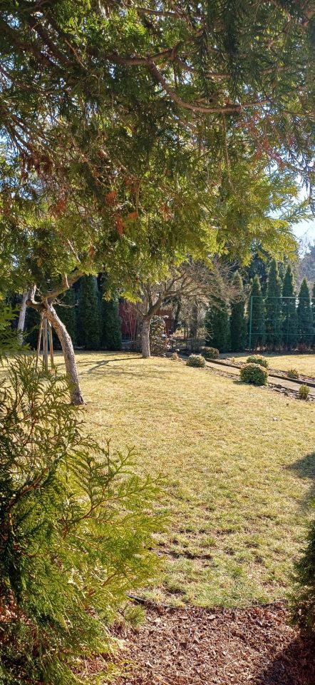 Działka rod Sosnowiec Zagórze, ul. gen. Mariusza Zaruskiego. Zdjęcie 2