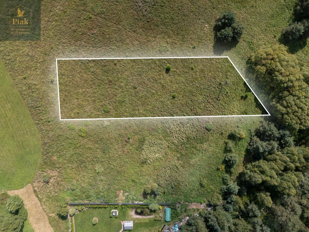 Działka rolna Obrzycko. Zdjęcie 2