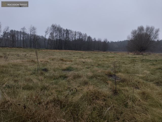 Działka budowlana Cegielnik. Zdjęcie 4