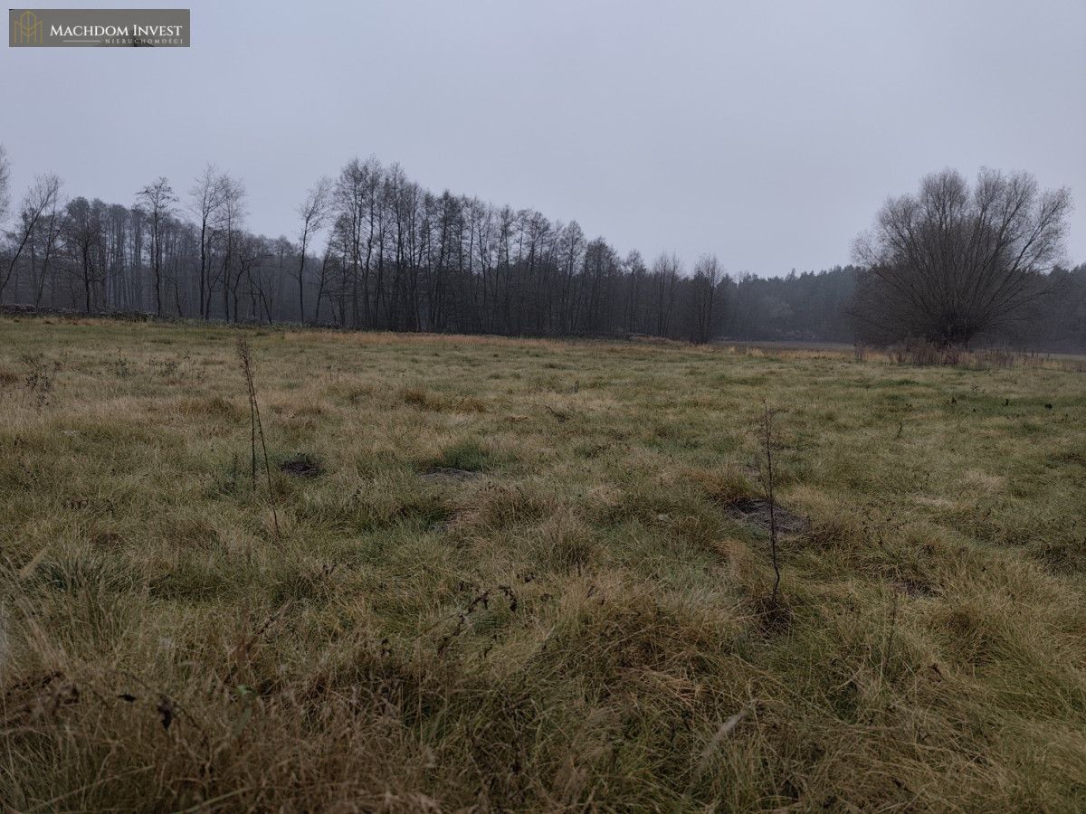 Działka budowlana Cegielnik. Zdjęcie 4