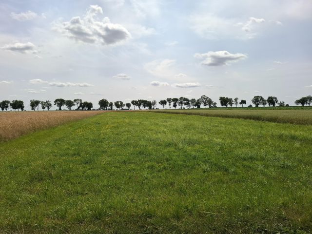 Działka rolna Krzesk-Majątek. Zdjęcie 5