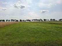 Działka rolna Krzesk-Majątek. Zdjęcie 4