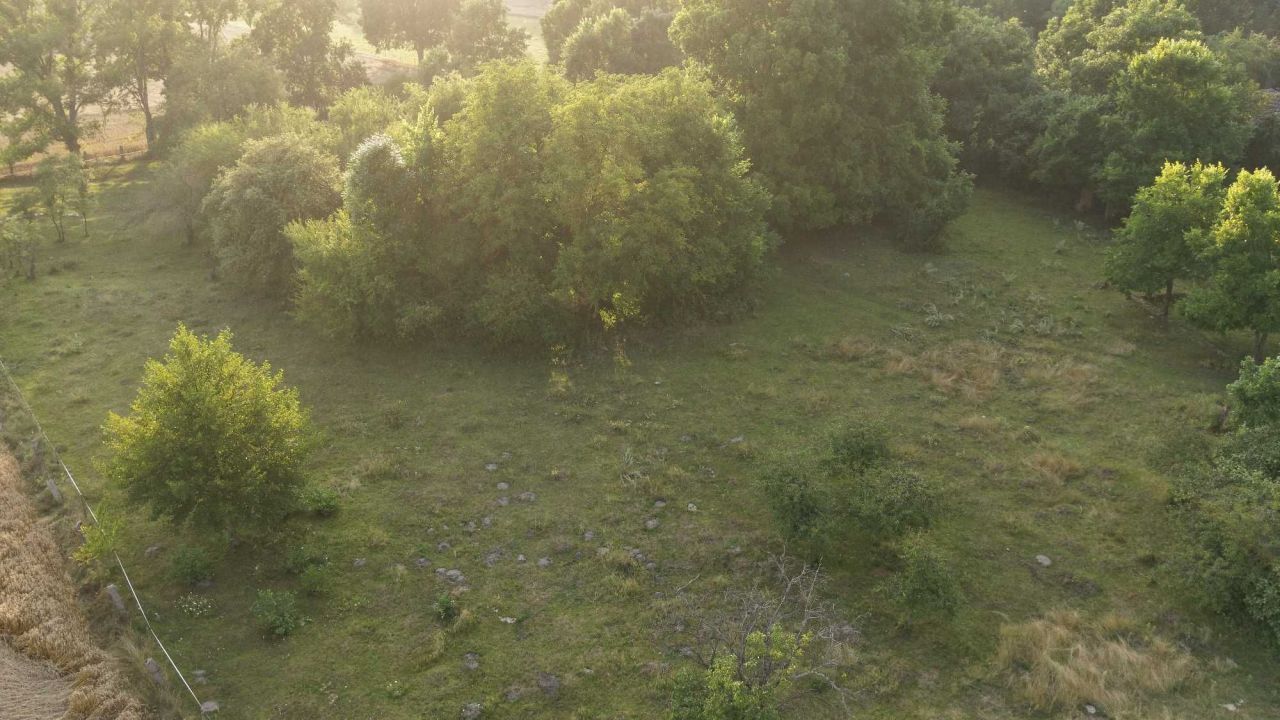 Działka rolno-budowlana Gościnowo. Zdjęcie 4