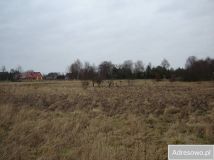 Działka rolna Włodarka. Zdjęcie 3