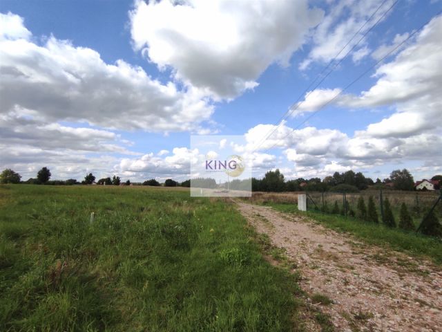 Działka budowlana Dołuje. Zdjęcie 3