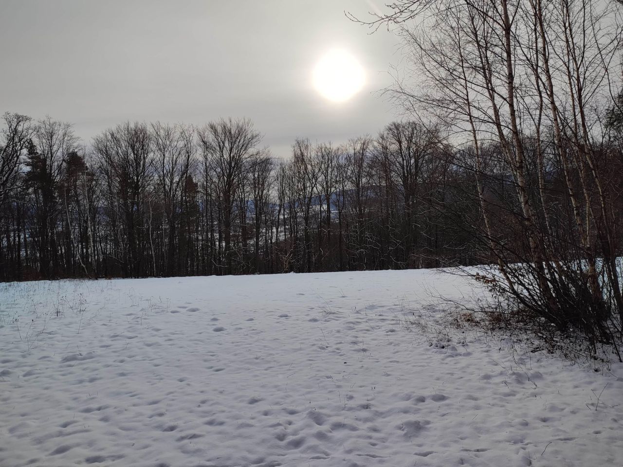 Działka budowlana Glichów Za Górą. Zdjęcie 4