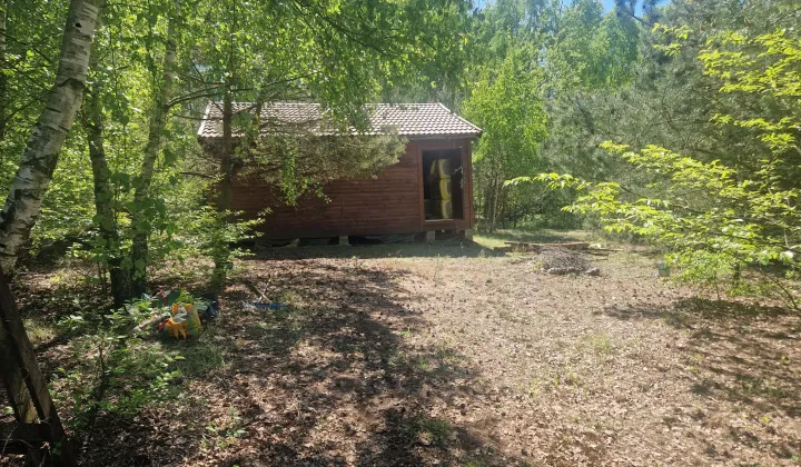 Działka leśna Klukówek