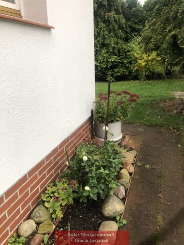 bliźniak Święta Katarzyna. Zdjęcie 4