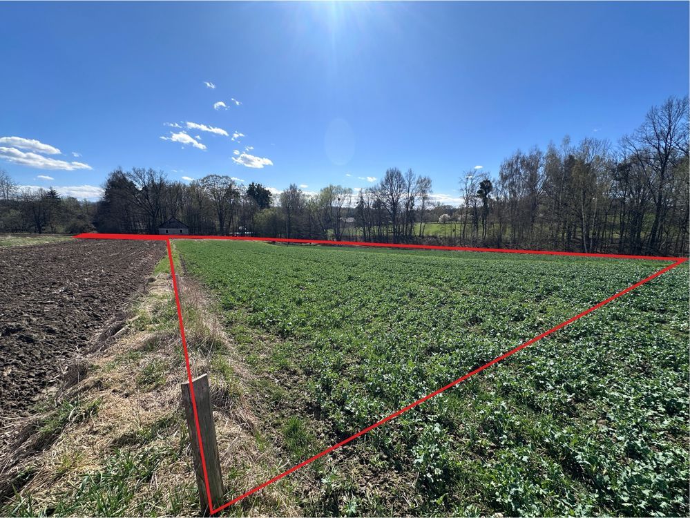 Działka rolno-budowlana Głębowice. Zdjęcie 5