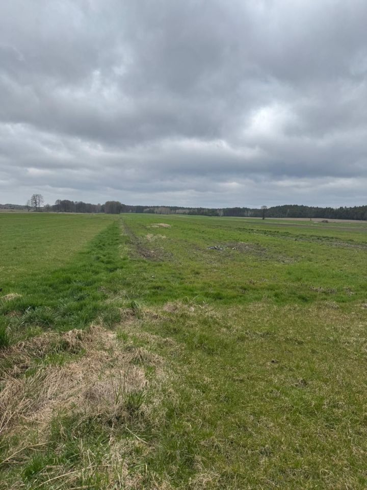 Działka rolna Stary Jamielnik. Zdjęcie 2