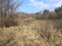 Działka budowlana Skuły Nadleśnictwo Skuły, ul. Jaworowa. Zdjęcie 2