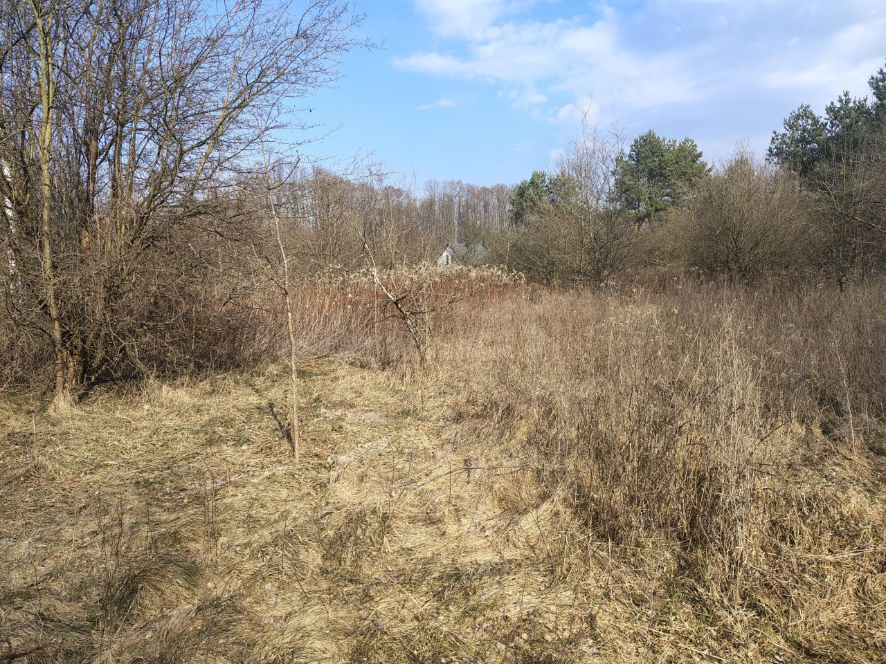 Działka budowlana Skuły Nadleśnictwo Skuły, ul. Jaworowa. Zdjęcie 3