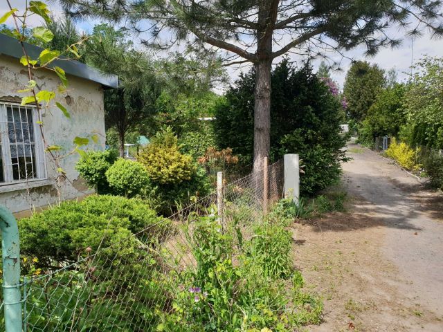 Działka rekreacyjna Poznań Dębiec, ul. Samotna. Zdjęcie 1