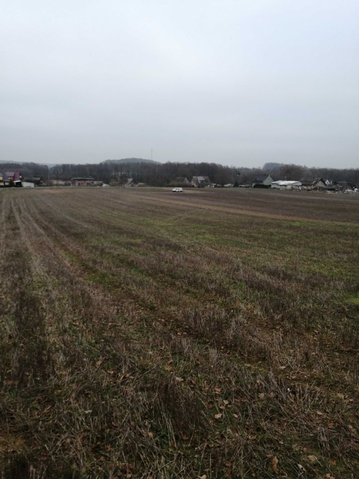 Działka budowlana Czartkowo. Zdjęcie 5