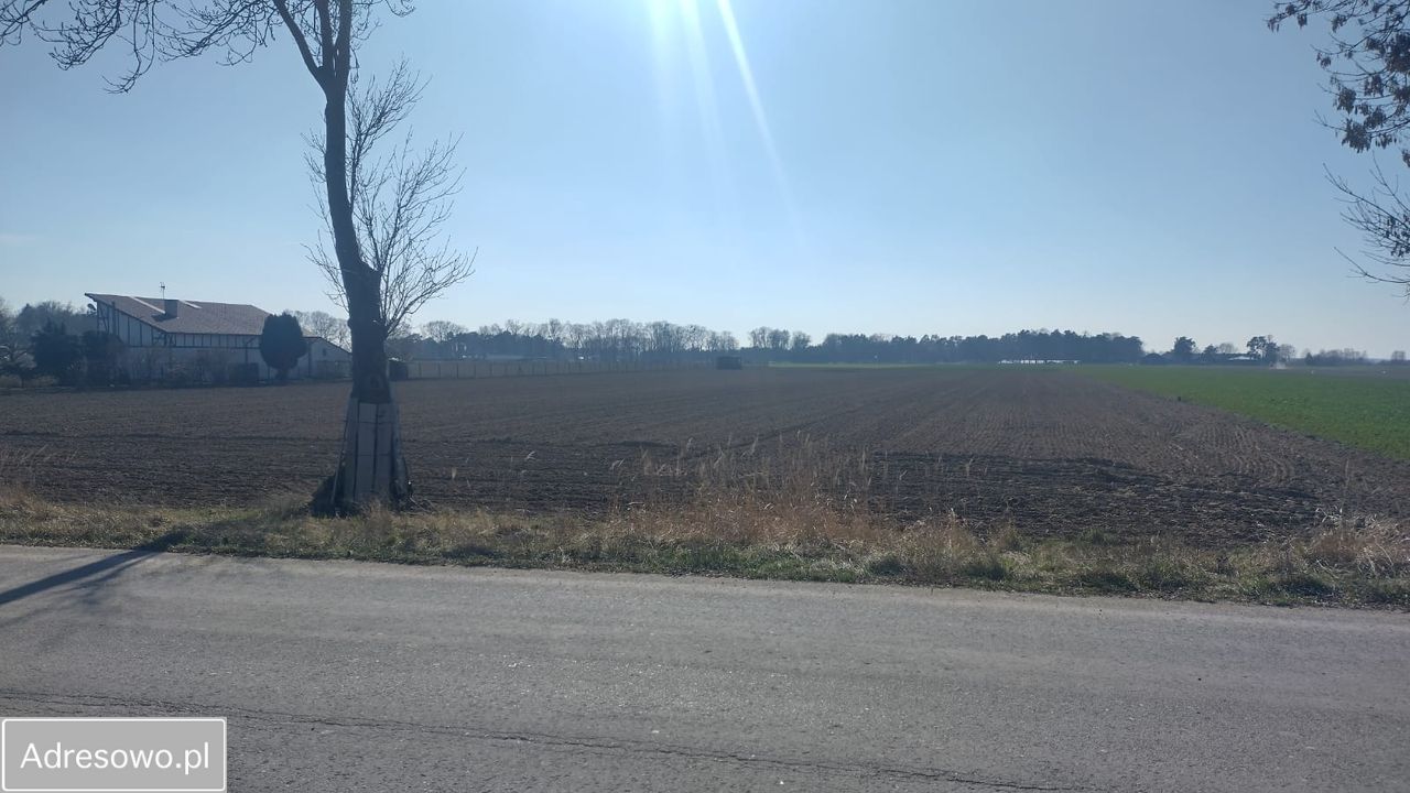 Działka inwestycyjna Henrysin. Zdjęcie 7