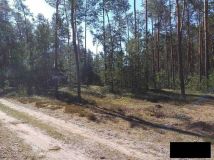 Działka leśna Radachówka. Zdjęcie 2