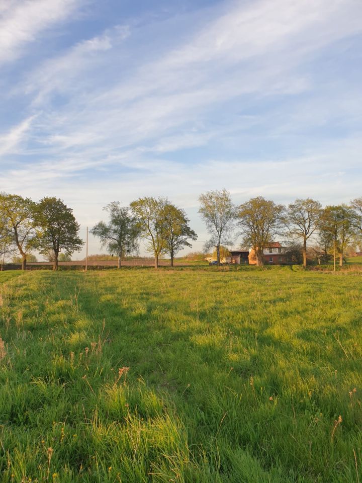 Działka rolno-budowlana Sztumska Wieś osada. Zdjęcie 3