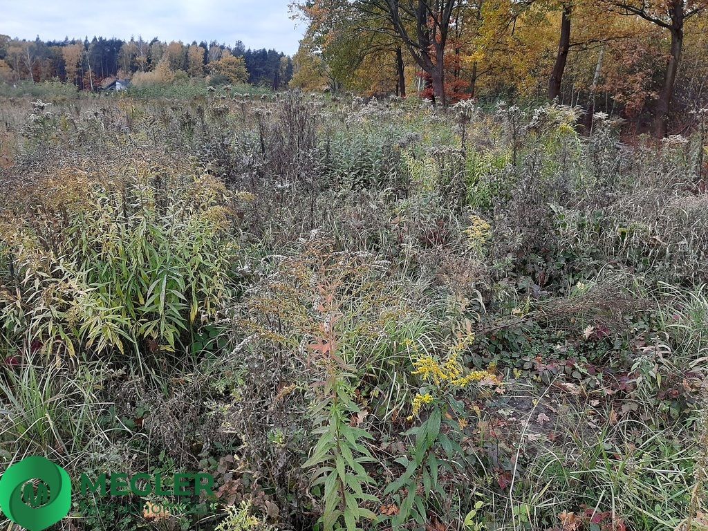 Działka budowlana Rusiec. Zdjęcie 5