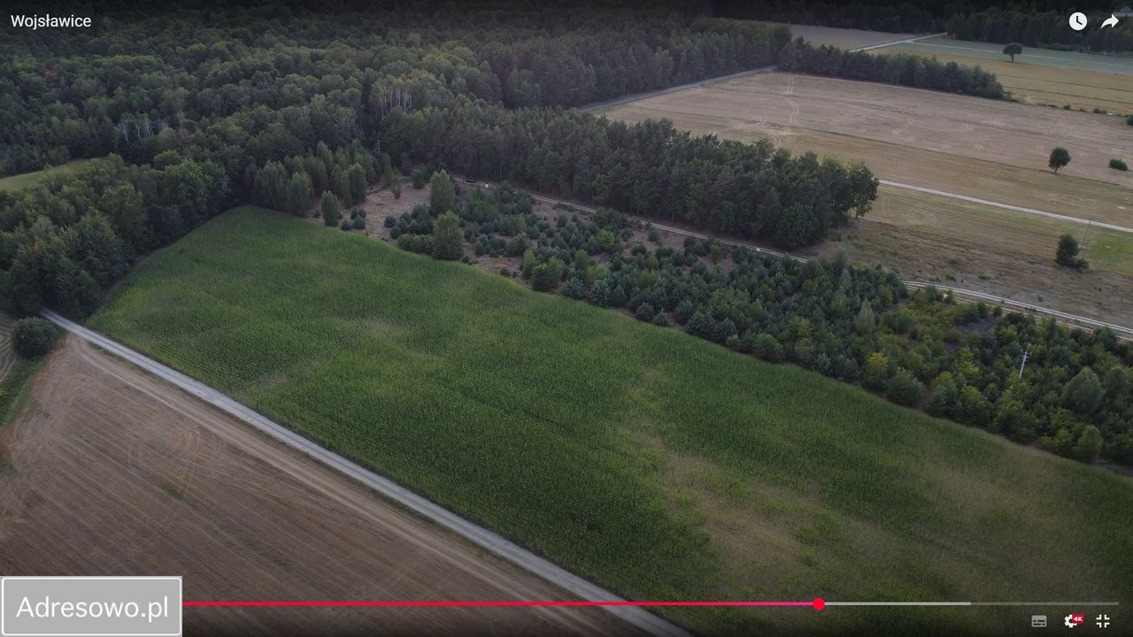 Działka budowlana Wojsławice. Zdjęcie 17