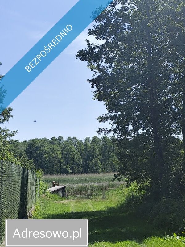 Działka rolna Szczechy Małe. Zdjęcie 4