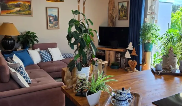 bliźniak, 3 pokoje Pawłowice